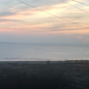 Meet your Posher, Lilly